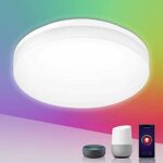 Lepro Smart LED Ceiling Light Dimmable, RGB Colour Changing Ceiling Light, App or Voice Control, IP54 Waterproof, 15W 1250lm, 2700K-6500K Tunable