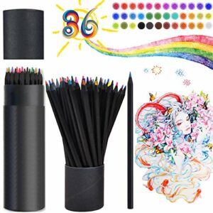 Colouring Pencils, 36 Pcs Professional Coloured Pencils Drawing Pencils, Oil-based Water-soluble Artist Pencil Set, No Wax, for Kids & Adults Ske