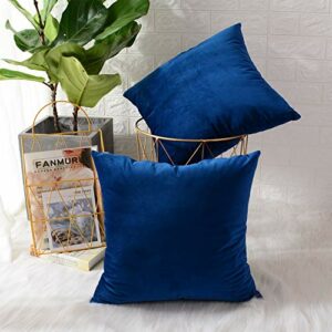 MERNETTE Pack of 2, Velvet Soft Decorative Square Throw Pillow Cover Cushion Covers Pillow case, Home Decor Decorations For Sofa Couch Bed Chair
