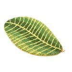 KRUIHAN Bathroom Carpet Mat Soft Plush - Leaves Shape Floor Anti-Slip Water Absorption Area Rug for Bedroom Kitchen Door Bathtub 45 * 75cm