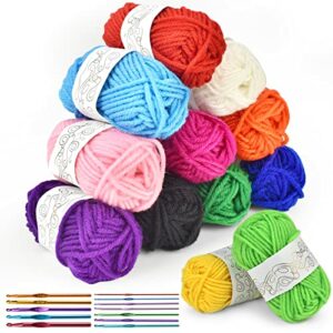 Crochet Thread Kit, 12-Strand Acrylic Yarn (12 * 10g), with 12 Braided Aluminum Crochet Hooks,2-8mm,Used to Make Blankets, Pet Clothes, Hats, Tow