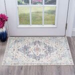 Estmy Boho Persian 2x3 Area Rug in Light Blue and Light Pink, Ultra Thin Washable Small Entryway Rug Indoor Doormat Vintage Distressed Persian Ba