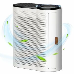 CONOPU Air Purifier For Bedroom Home up to 100㎡, CADR 230m³/h, Real-time Air Quality Monitor, HEPA H13 Filter Air Purifier, Air Filter with 3-Sta